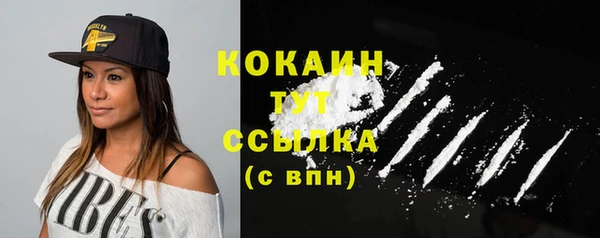крисы Баксан