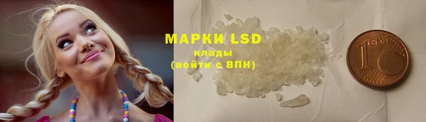 крисы Баксан