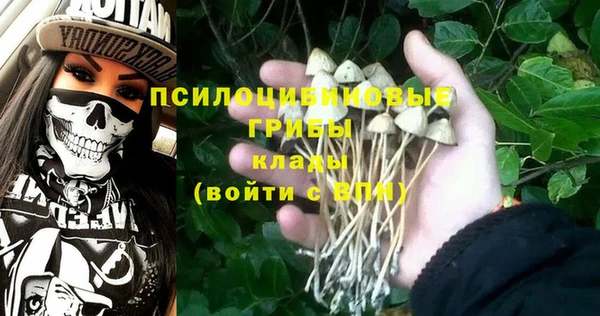 крисы Баксан