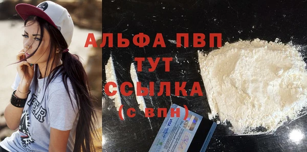 крисы Баксан