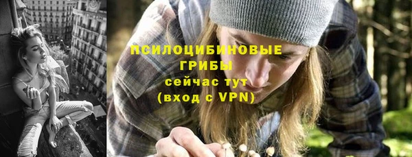 крисы Баксан