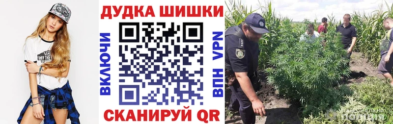 Каннабис Ganja  наркота  Куса 